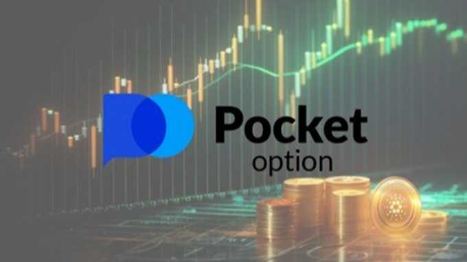 The Comprehensive Guide to PocketOption